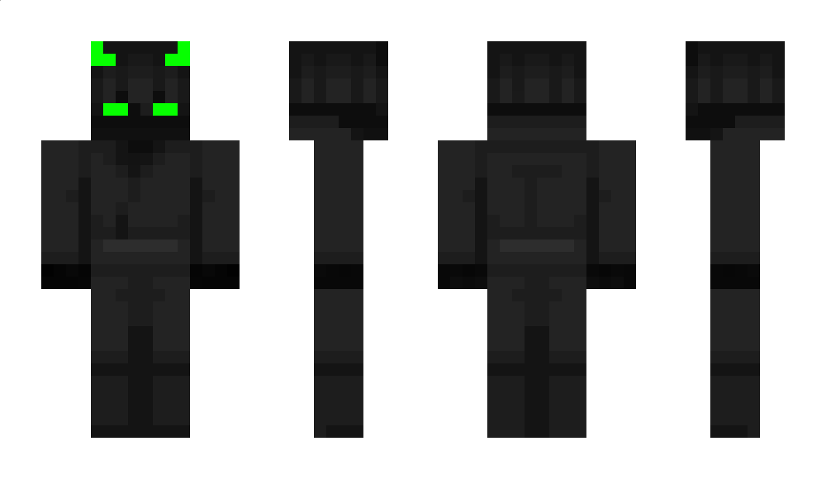 YourLocalAreaNet Minecraft Skin