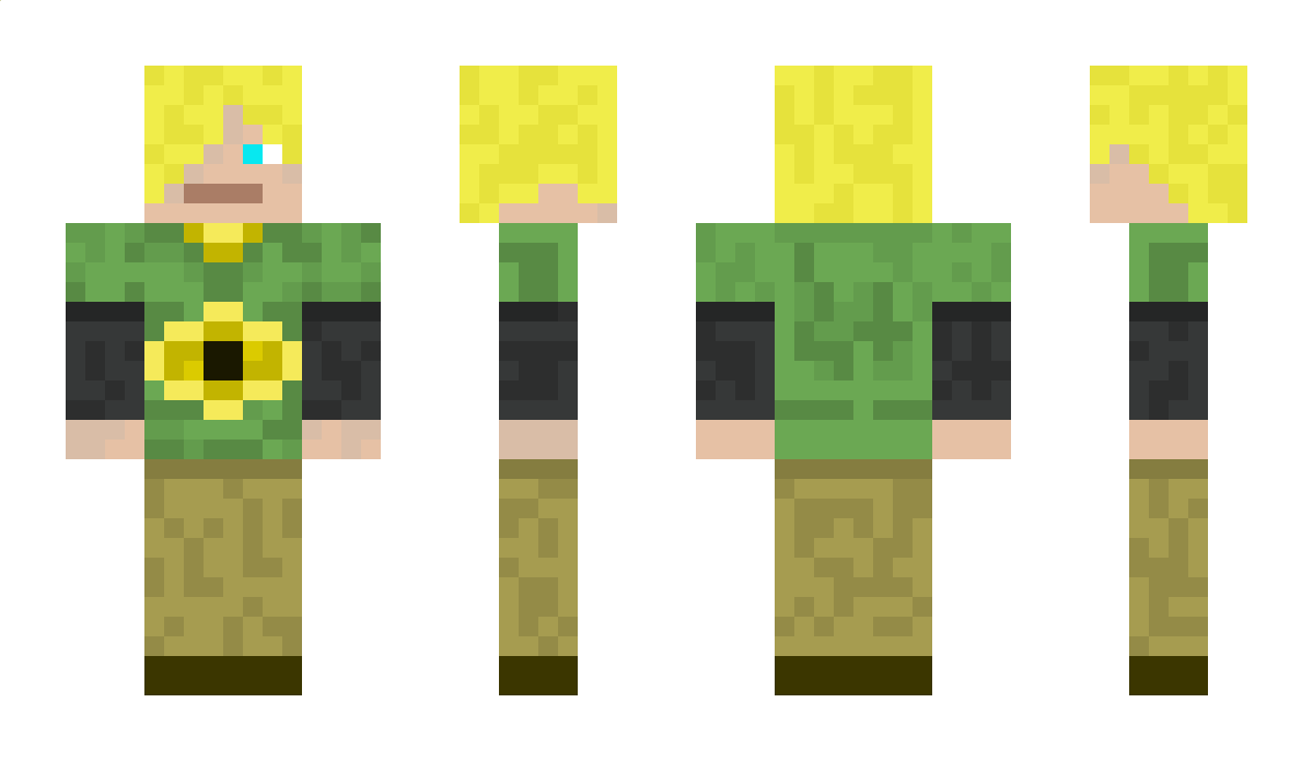 brodo1234567 Minecraft Skin