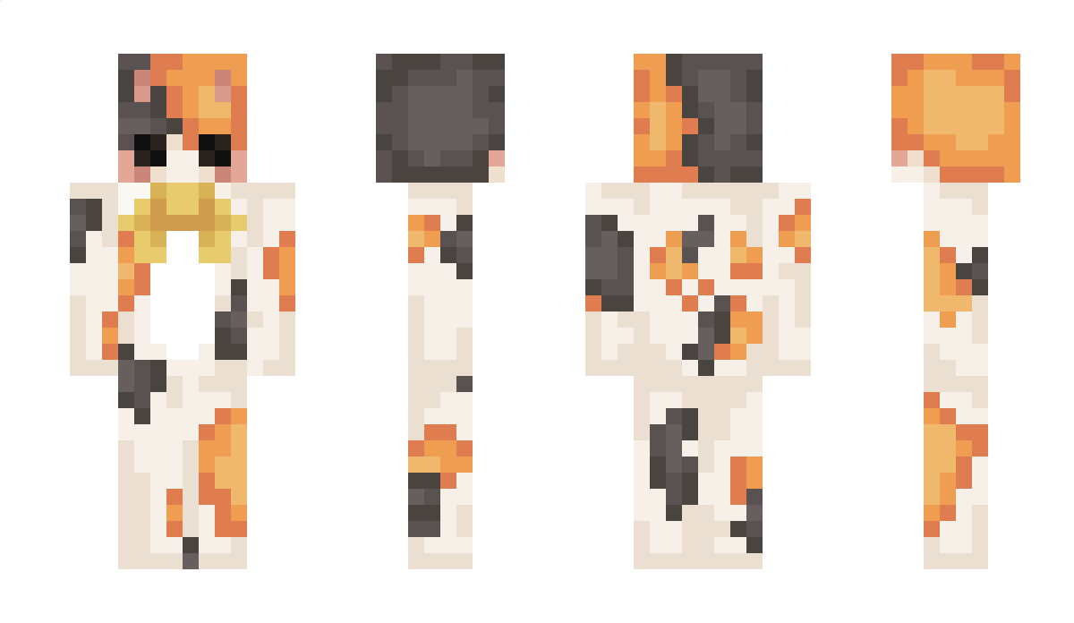 CakelynCat Minecraft Skin