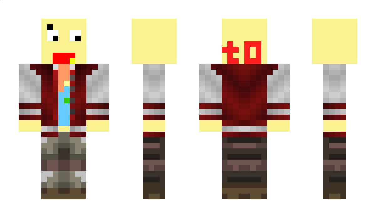 touaLIONS Minecraft Skin