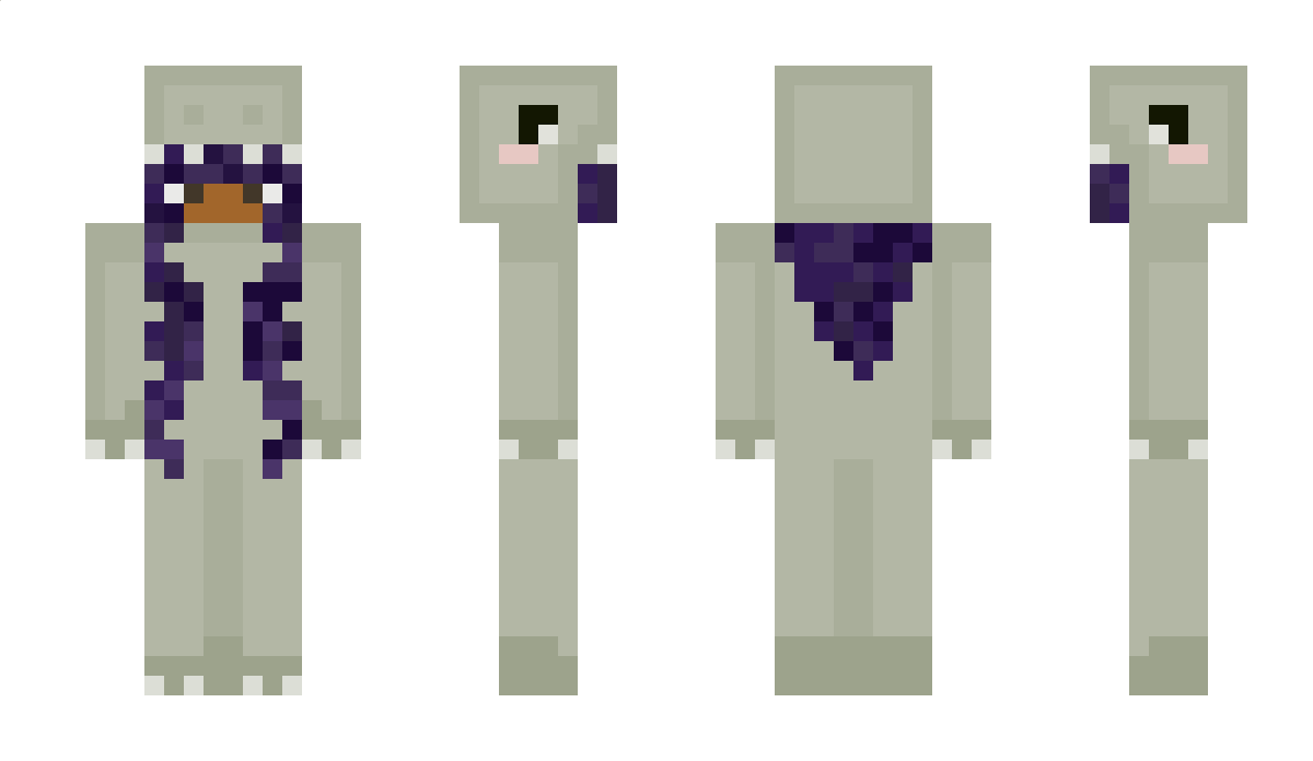 aanizzz Minecraft Skin