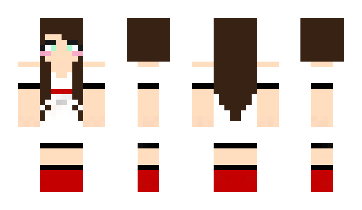 sopas Minecraft Skin