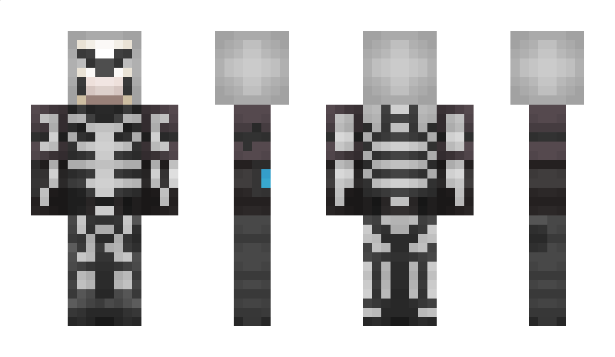 misterX198347 Minecraft Skin