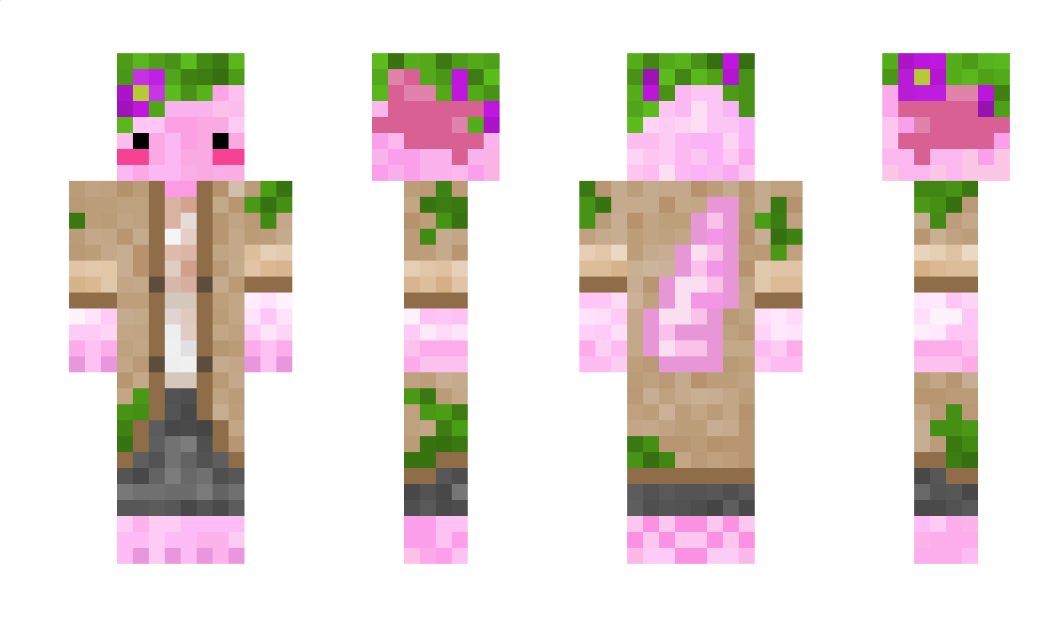 ChipsN_Dip Minecraft Skin