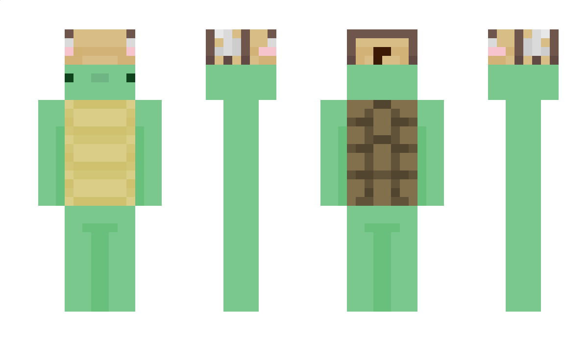 Tcrtles Minecraft Skin