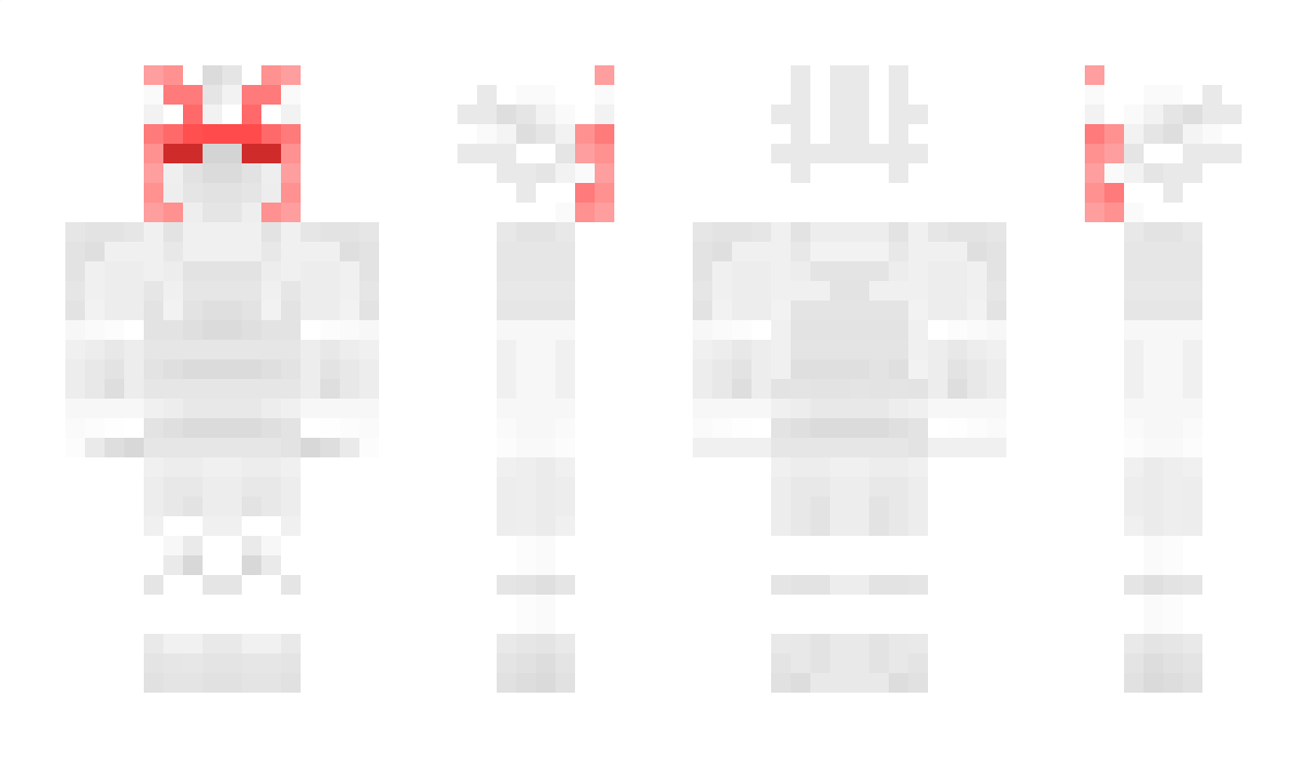 8351110471001011 Minecraft Skin