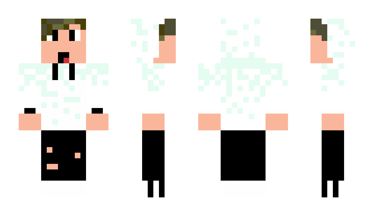 leZappa Minecraft Skin