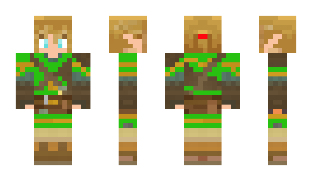 BlockMaster333 Minecraft Skin