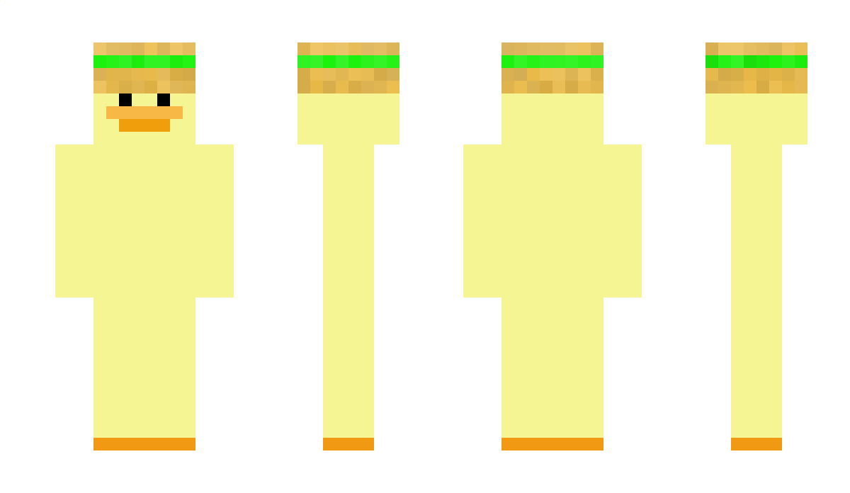 Floogel Minecraft Skin