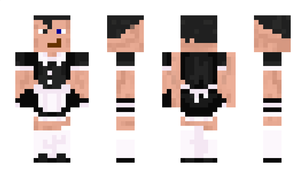 RealPaladinexxl Minecraft Skin