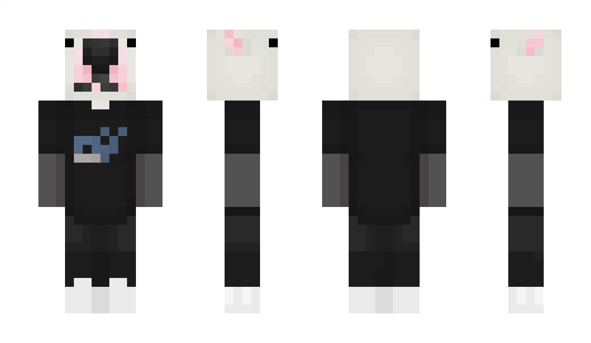 DuckJre Minecraft Skin