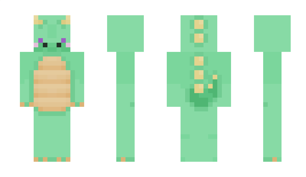 Coolgamer111 Minecraft Skin