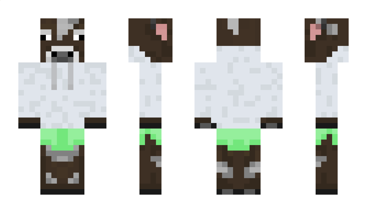 ajplays Minecraft Skin