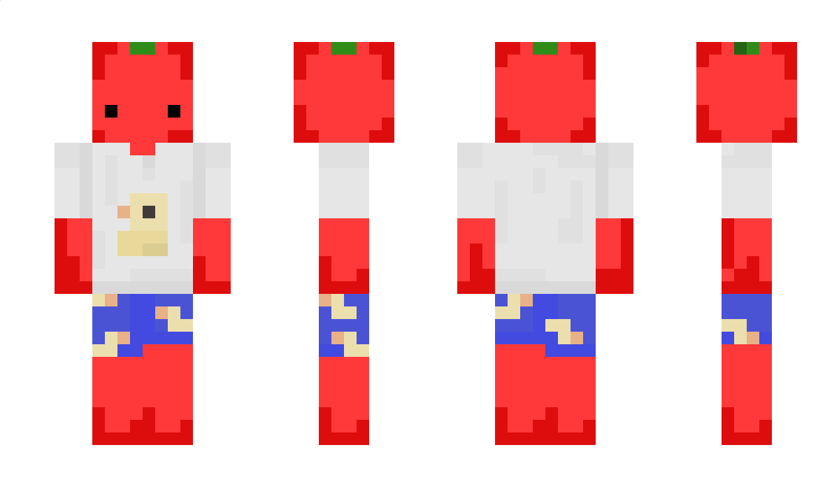 nedimco Minecraft Skin