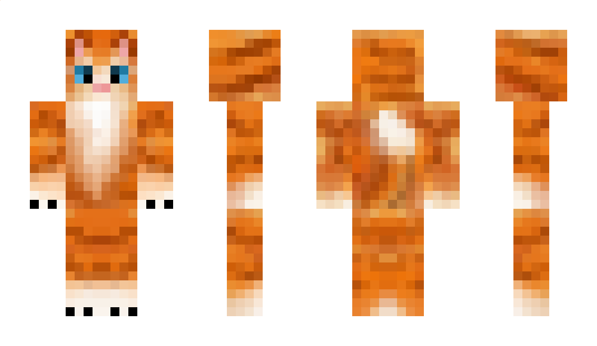 pli_3 Minecraft Skin