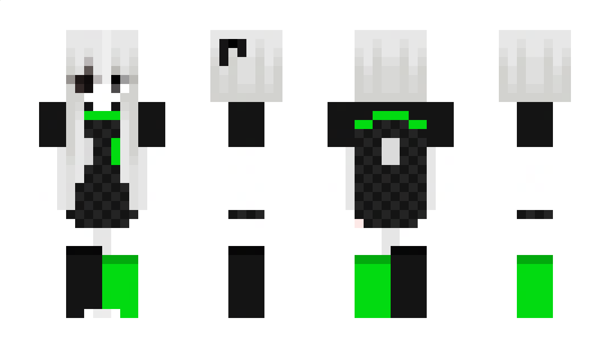 conexoes Minecraft Skin