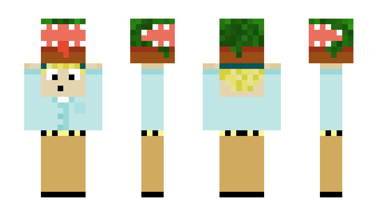 Sna77y Minecraft Skin