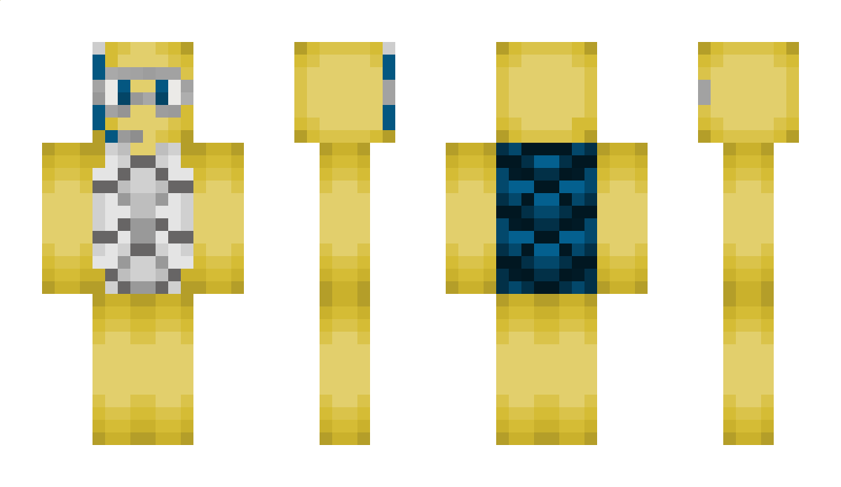 Turtill Minecraft Skin