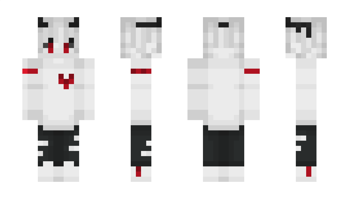 bracoli Minecraft Skin