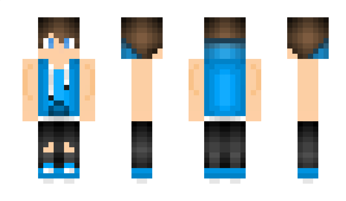 sinal Minecraft Skin