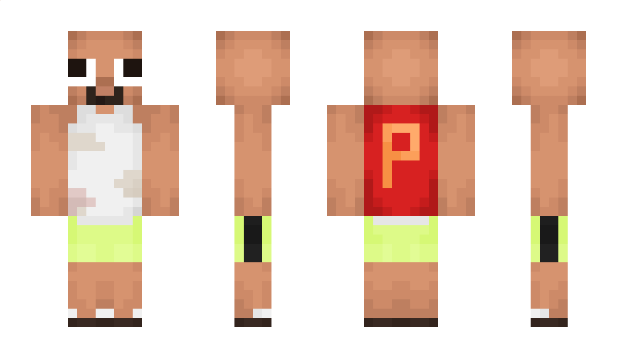 PlattSir Minecraft Skin