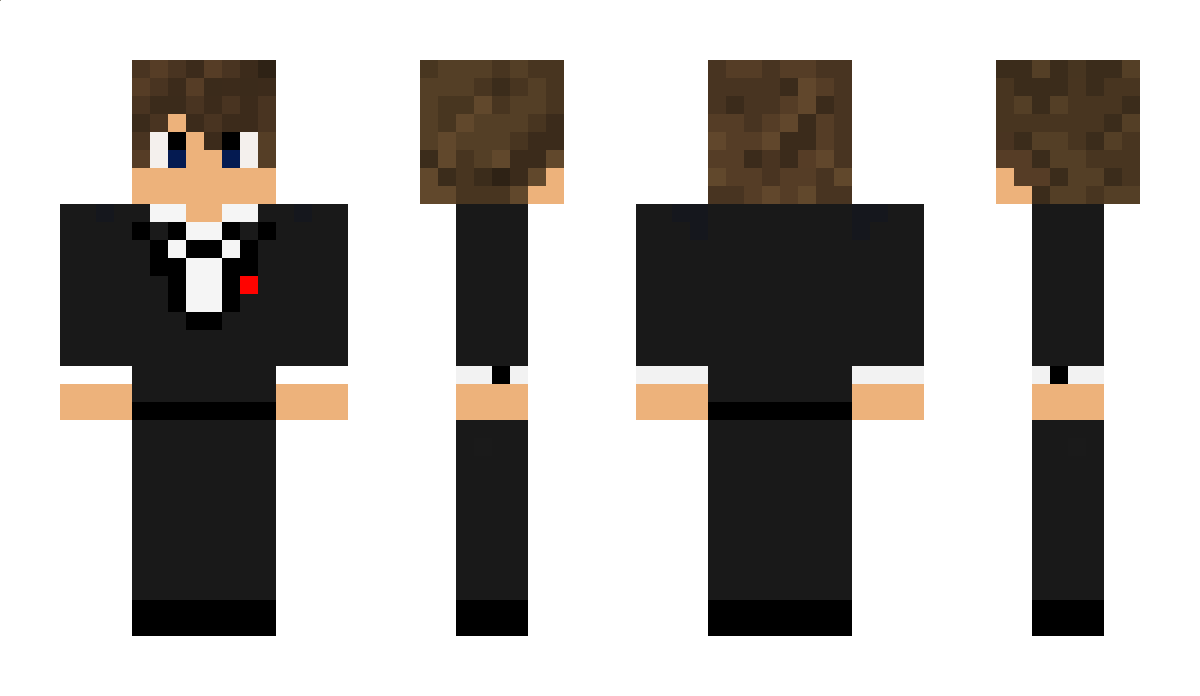 Sims Minecraft Skin