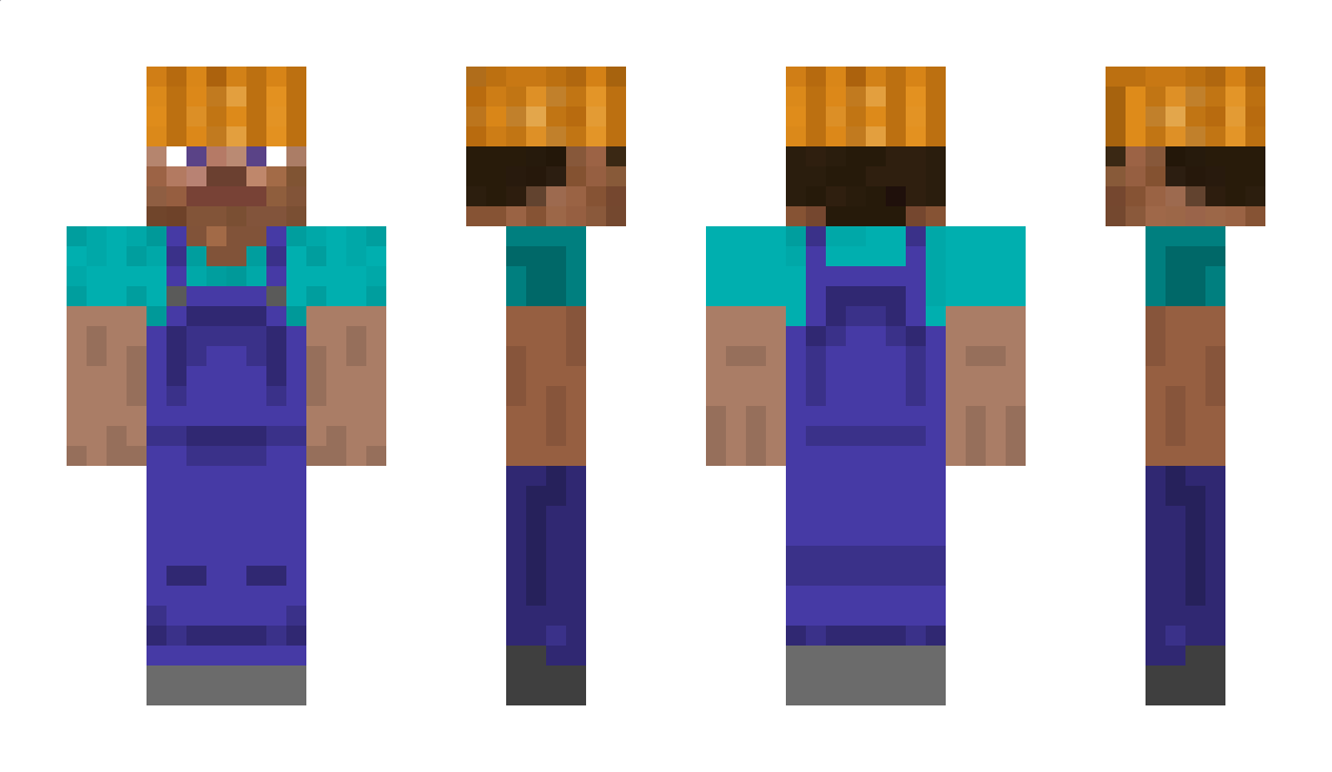 Perwd Minecraft Skin