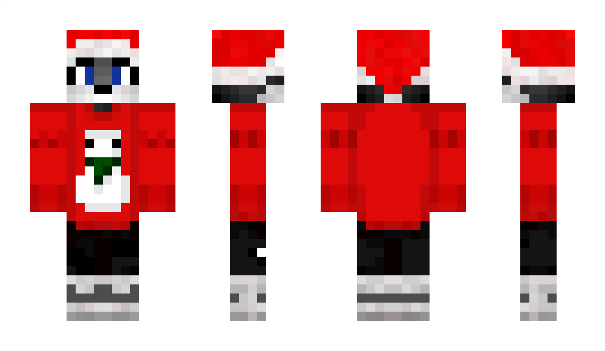 PetrisorRo Minecraft Skin