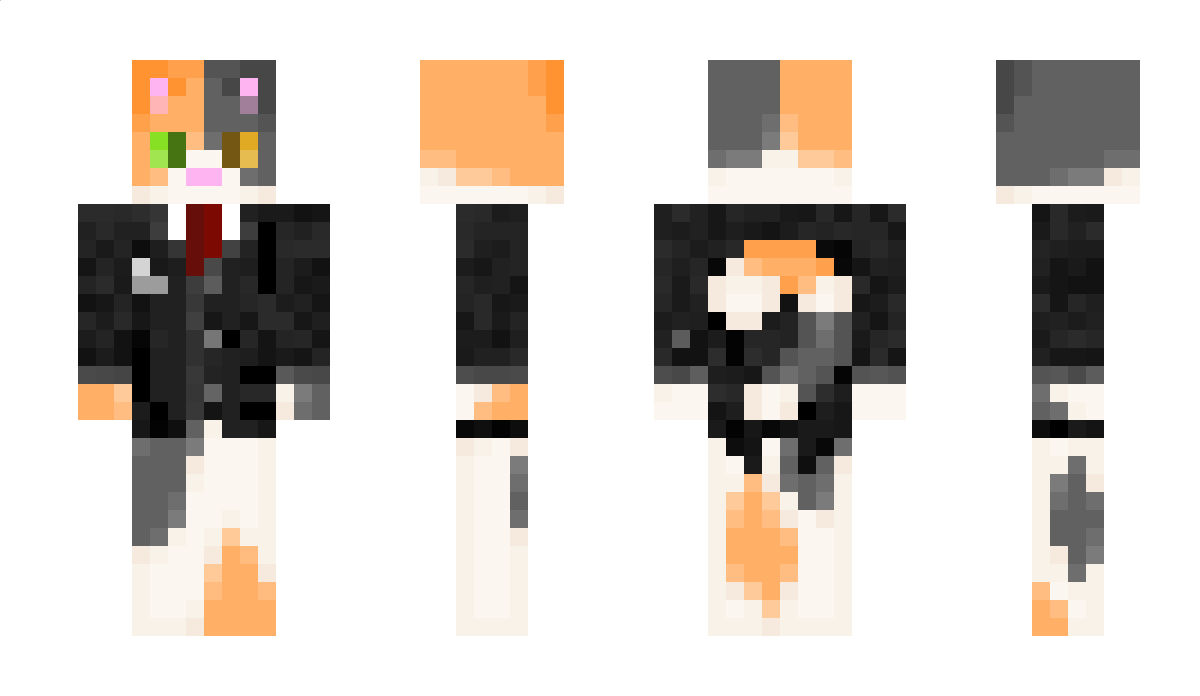 coolcatx47 Minecraft Skin