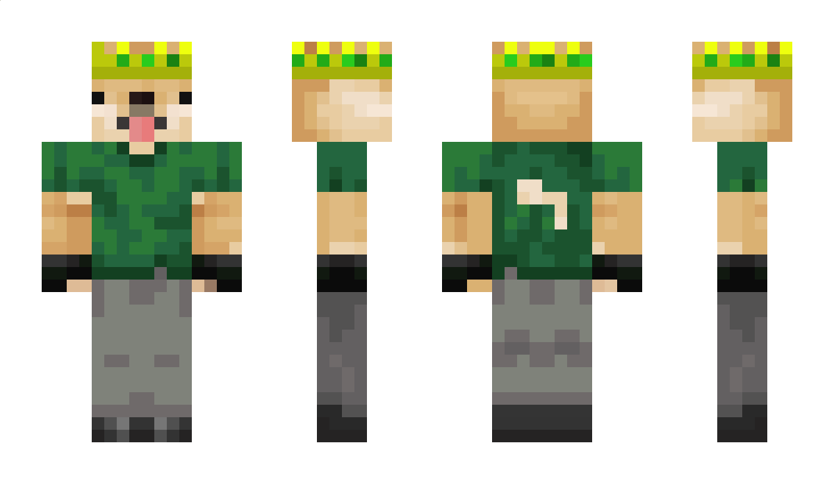 Zlexifi Minecraft Skin