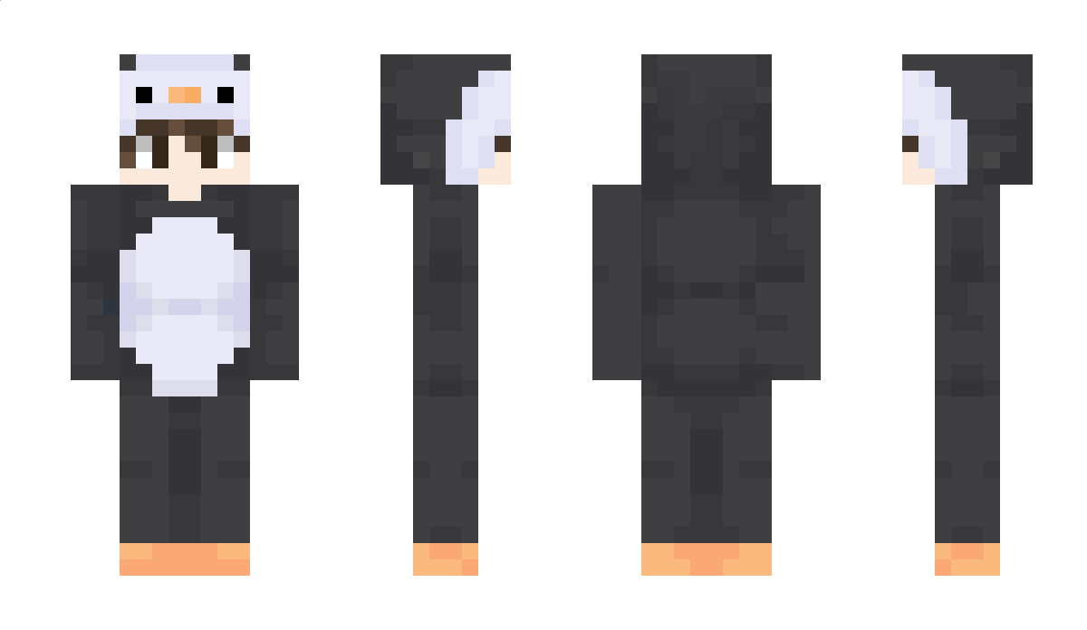 Paulev12 Minecraft Skin