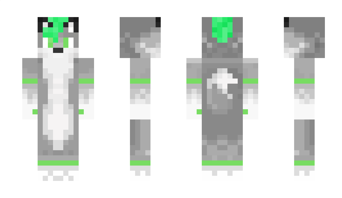 Toogis Minecraft Skin