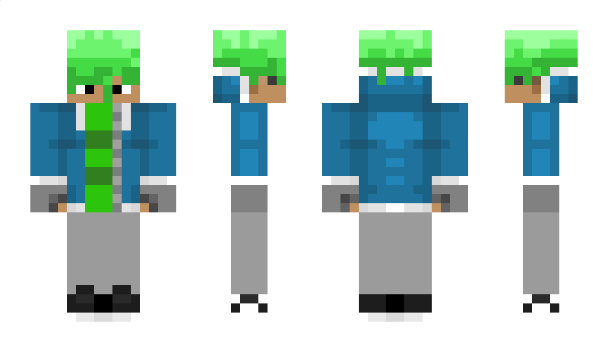 MntChocoChip Minecraft Skin