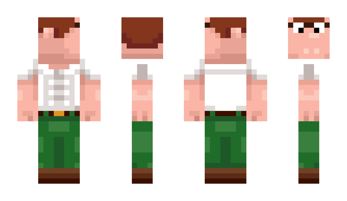 bartek16163 Minecraft Skin