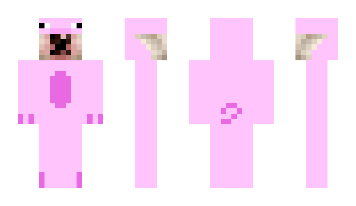 DERPYPIG123 Minecraft Skin