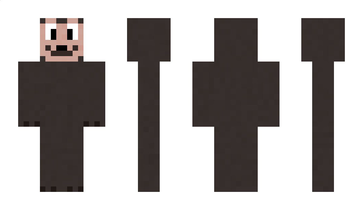 SaltyTheSeal Minecraft Skin