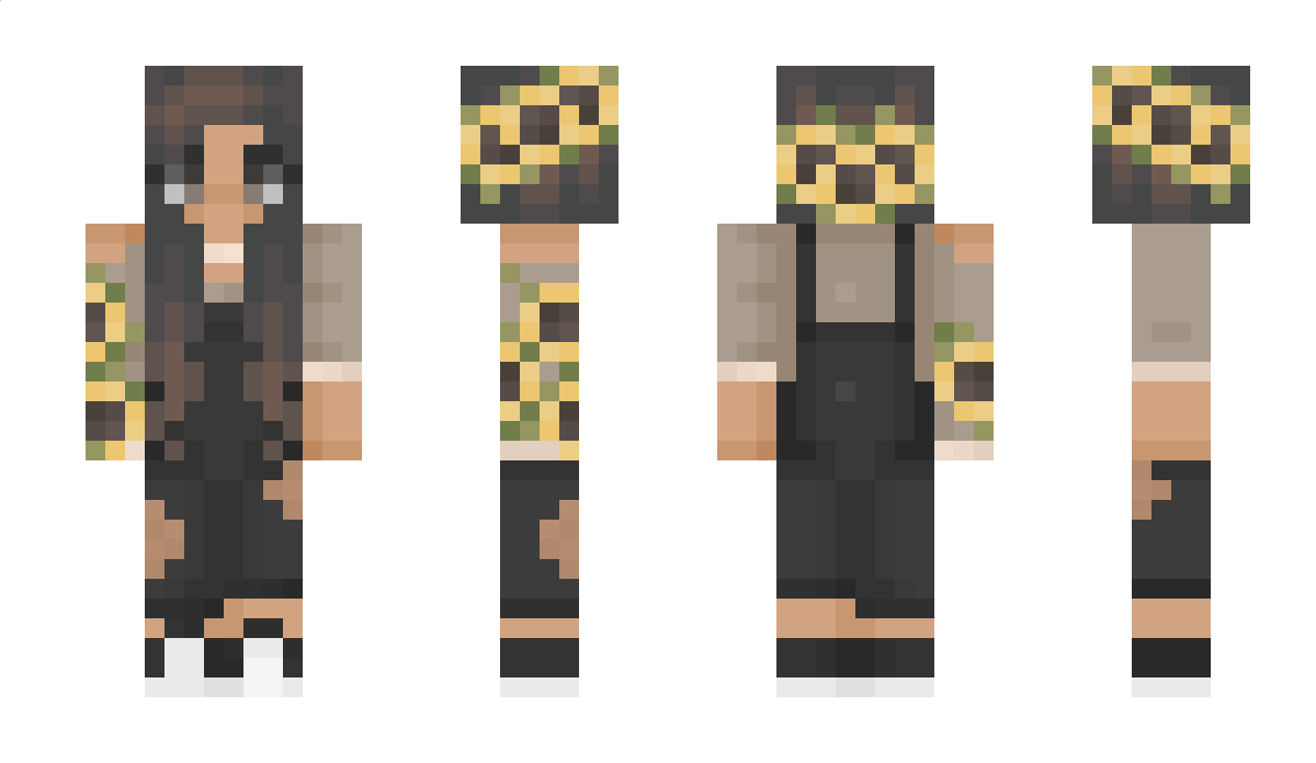 capsa Minecraft Skin