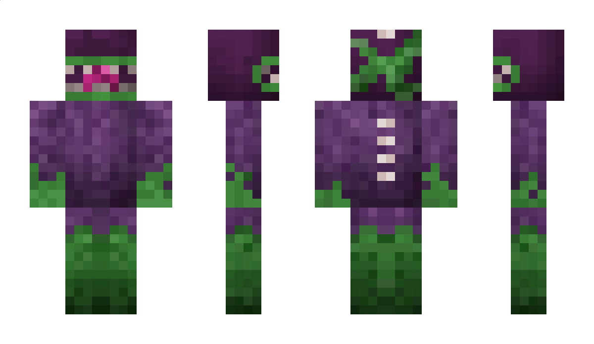 DingleChalk69 Minecraft Skin