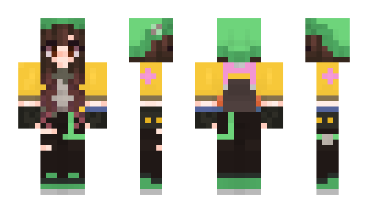 Hanply Minecraft Skin