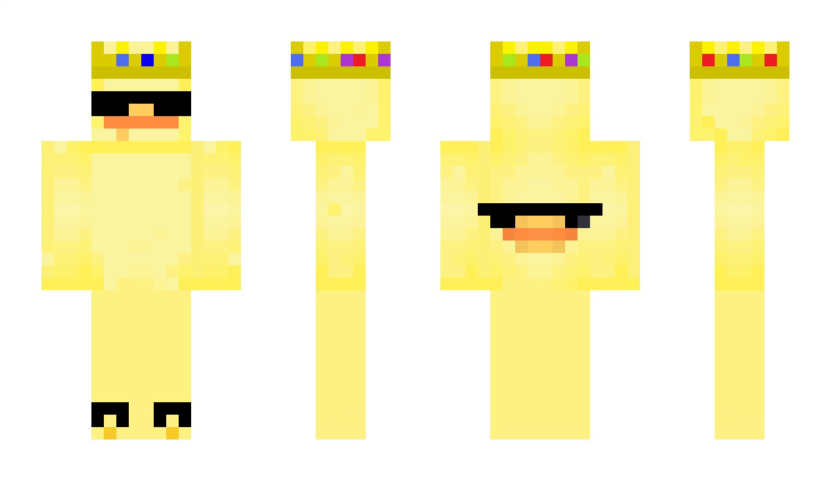 FaKeSwAg Minecraft Skin