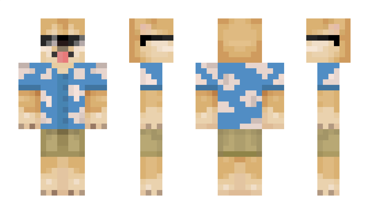 CutzuSD Minecraft Skin