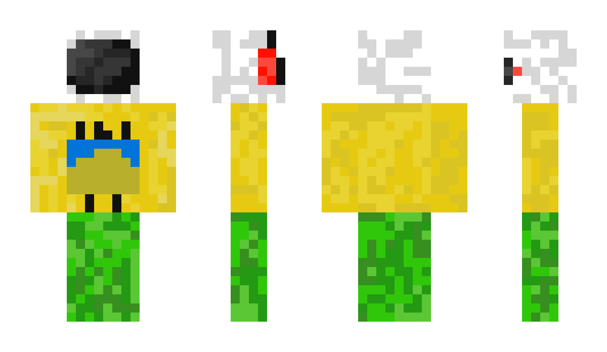 redmario5466 Minecraft Skin