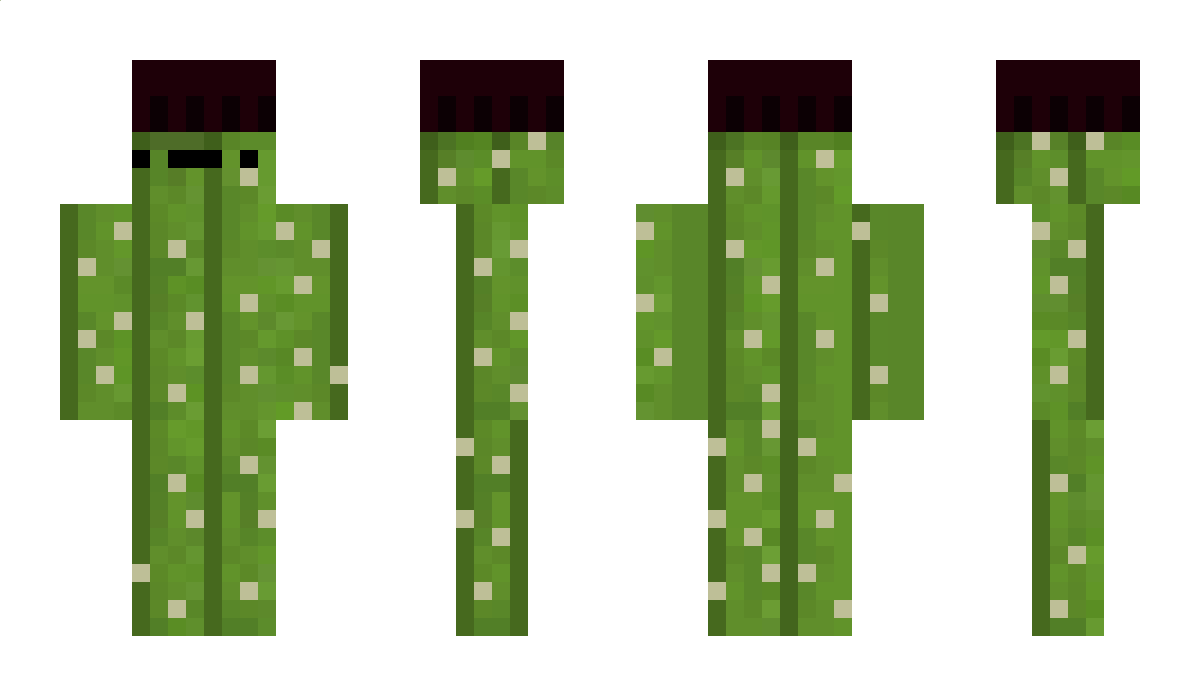 Slayer_Otter Minecraft Skin