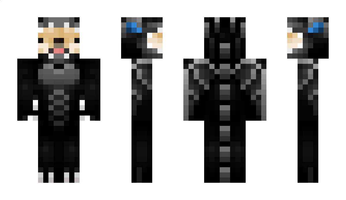 perfxctionist Minecraft Skin