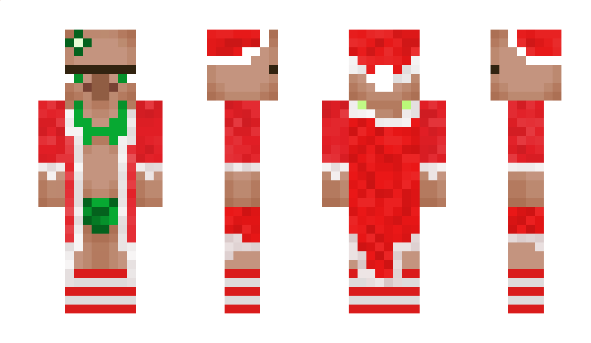 nieek_npc Minecraft Skin