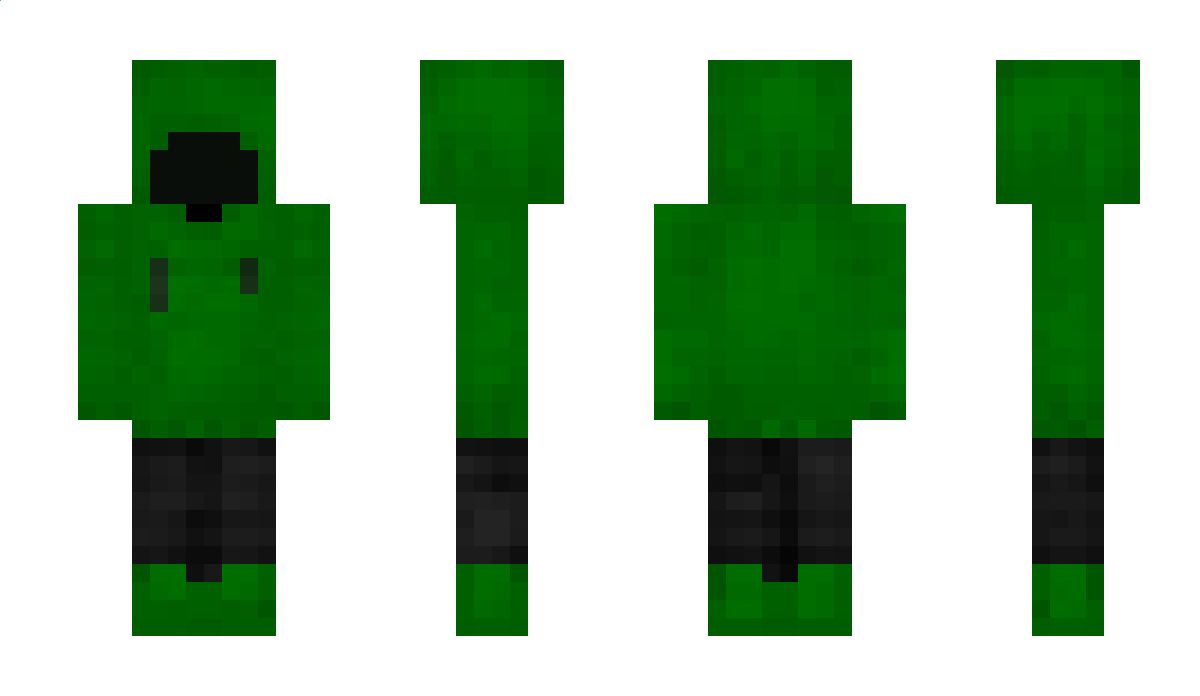 lud08 Minecraft Skin