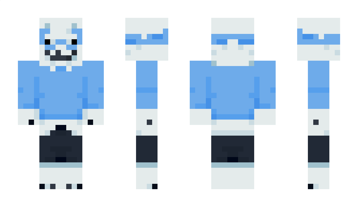 polarsn Minecraft Skin