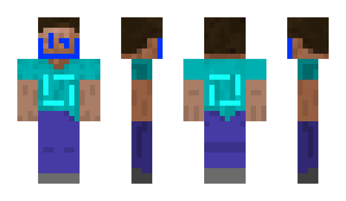 domijs Minecraft Skin