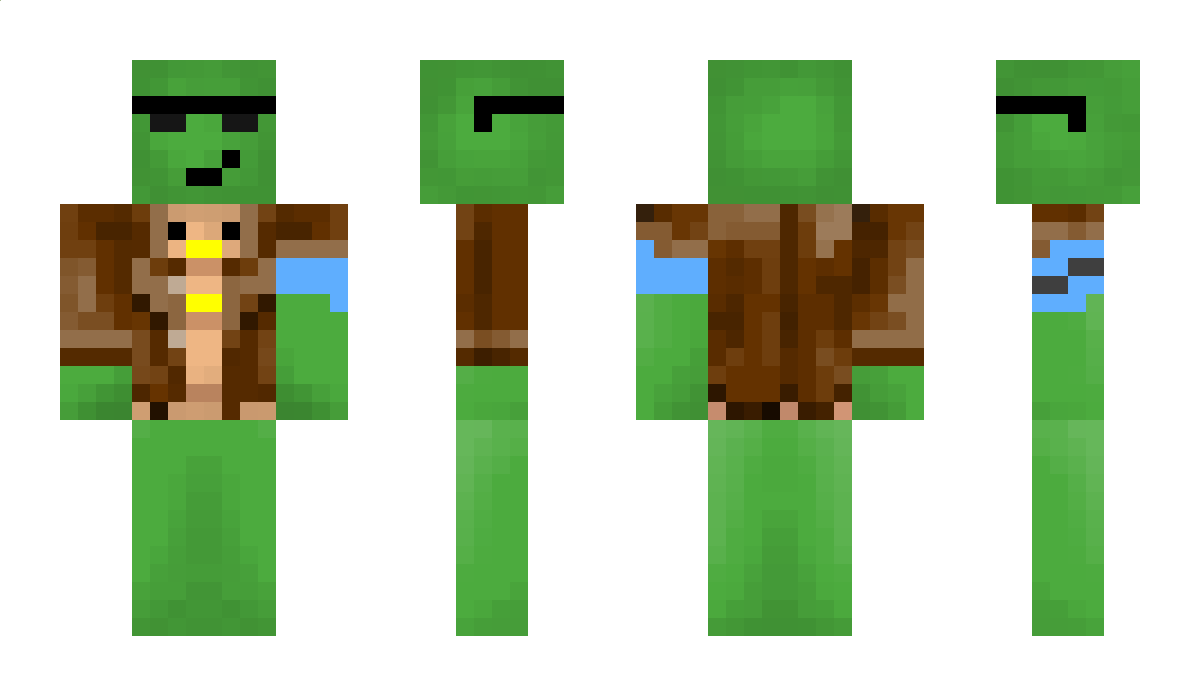 TurtleCube_ Minecraft Skin