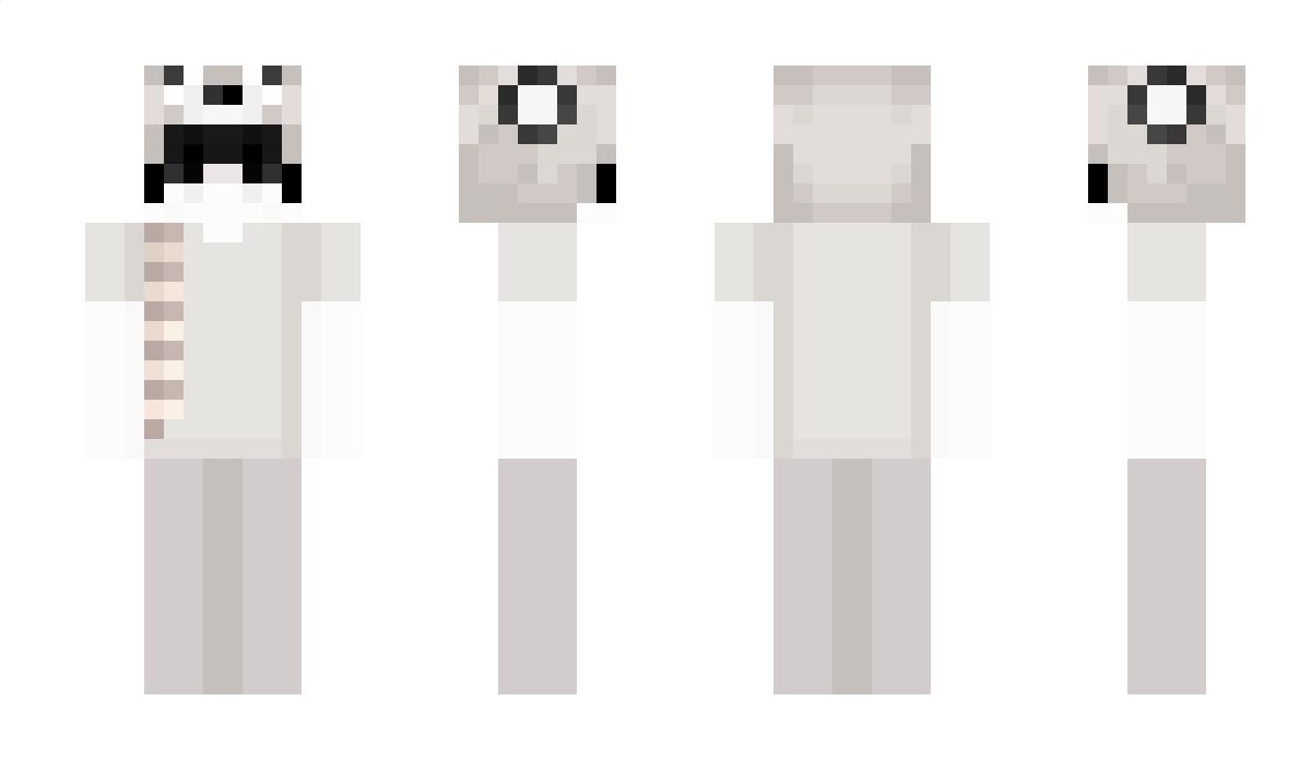 zavn Minecraft Skin